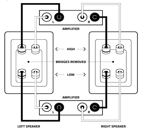 BiAmp